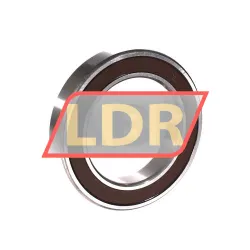 NSK 6013DDUC3E rulman resim 2