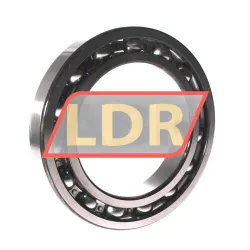 NSK 6026CM rulman resim 2