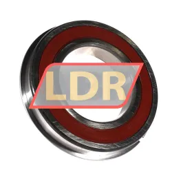 NTN 6216LLUNR/2AS rulman resim 2