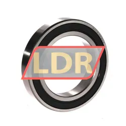 DPI 6013 2RS C3