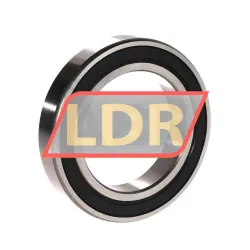 DPI 6013 2RS C3 rulman resim 2