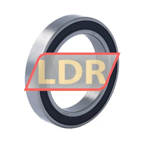 LDI 61910 2RS