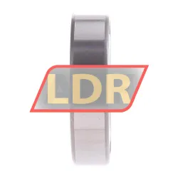 Bing Netherlands 6006-2RS rulman resim 3