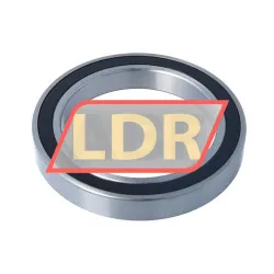 LDI 61921 2RS