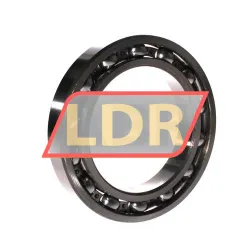 ZKL 6020 rulman resim 2