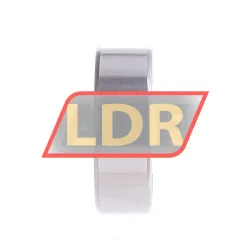 Bing Netherlands 6301-2RS rulman resim 2