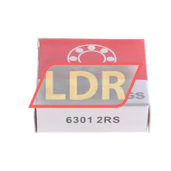 Bing Netherlands 6301-2RS rulman resim 3