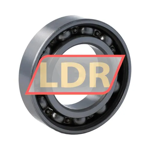 Rollway 6007Z ürün fotoğrafı 2