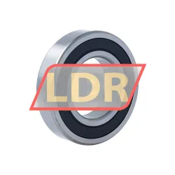 WD 6209-2RS