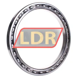 INA 61852-HLU