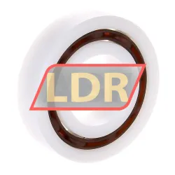 Neutral 6206DT-GLAS rulman resim 2
