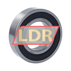 Neutral 6005-2RS