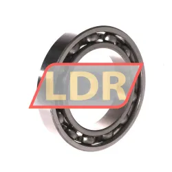 Neutral 6013 rulman resim 2