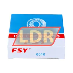 FSY (China) 6010 rulman resim 3