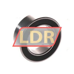 Neutral 6804 2RS rulman resim 2