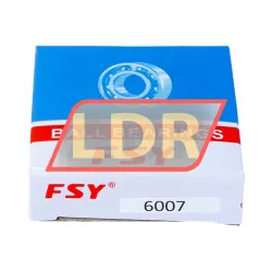 FSY (China) 6007 rulman resim 3