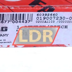 FAG 6019-2Z rulman resim 4