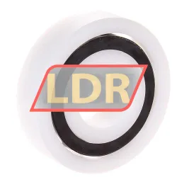 Neutral 6305DT-GLAS rulman resim 2