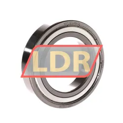 FAG 6011-2Z-L069-C3