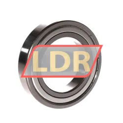 FAG 6011-2Z-L069-C3 rulman resim 2
