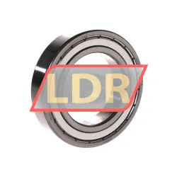 FAG 6009-2Z-L069-C3