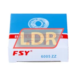 FSY (China) 6005ZZ rulman resim 3