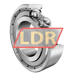 INA 6008-2Z rulman resim 2