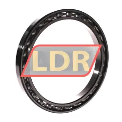 INA 61828-HLU