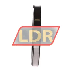 INA 61828-HLU rulman resim 2