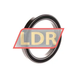 INA 61809-2RS-Y rulman resim 2