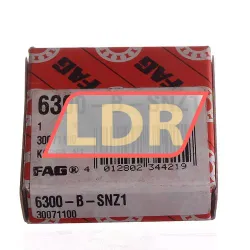 FAG 6300-B-SNZ1 rulman resim 2