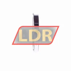 INA 61809-Y rulman resim 2