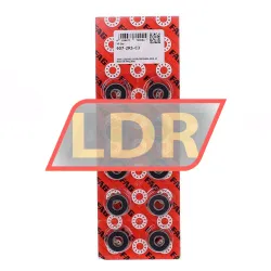 FAG 607-2RS-C3
