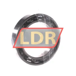 FAG 61805-HLC rulman resim 2