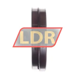 INA 61819-Y rulman resim 2