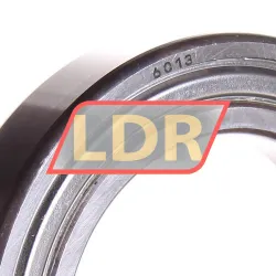FAG 6013-2ZR rulman resim 2