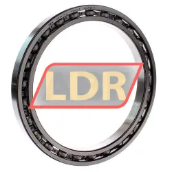 INA 61836-HLU