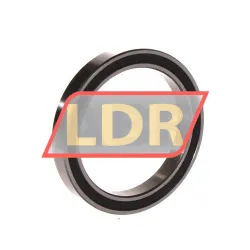 INA 61808 2RS rulman resim 2
