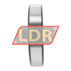 FAG 6010-2Z-C3 rulman resim 4