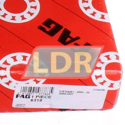 FAG 6318 rulman resim 5