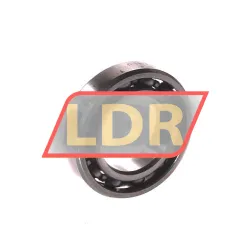 INA 61801-HLC rulman resim 2