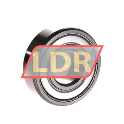FAG 6204-C-2Z-L100-C3 rulman resim 2