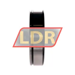 FAG 6313-Z-N rulman resim 2