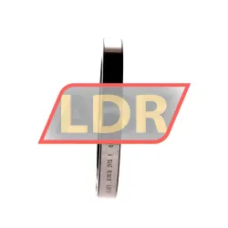 Elges 61809 2RS rulman resim 3