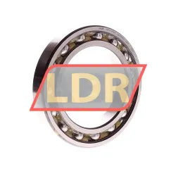 FAG 6019-2RSR