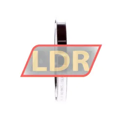 INA 61810-Y rulman resim 2