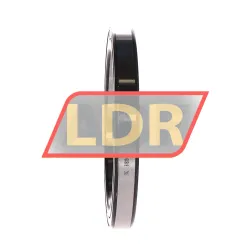 INA 61819-2RSR-Y rulman resim 2