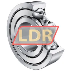 INA 6004ZZ rulman resim 2