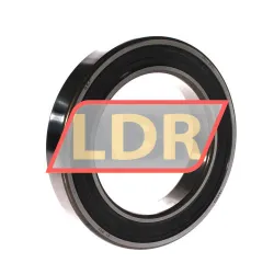 SKF 6021-2RS1