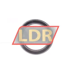 FAG 61702-2RSR-HLC